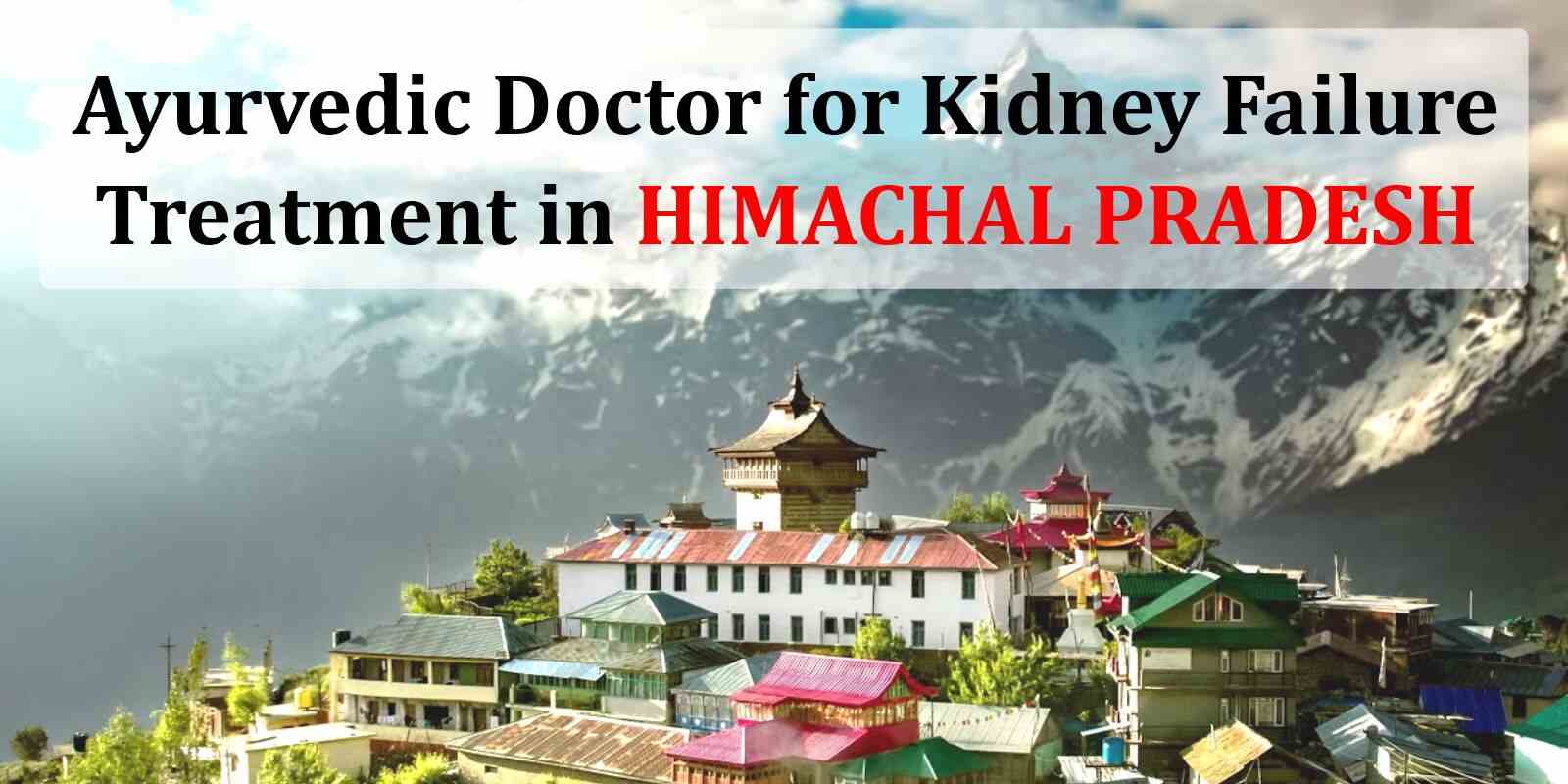 Ayurvedic Doctor for Kidney Failure Treatment in Himachal Pradesh